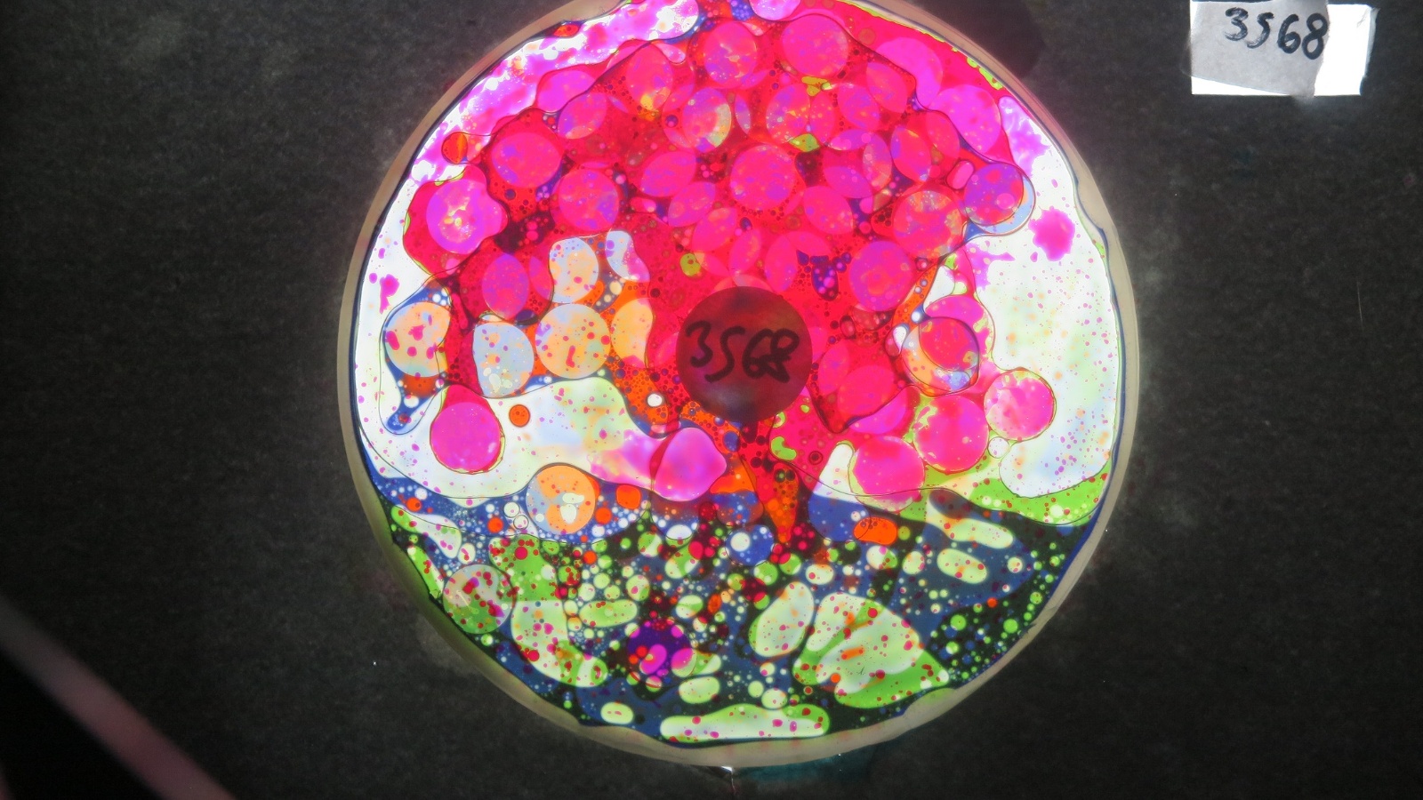 BV3568 bubble vision oil wheel